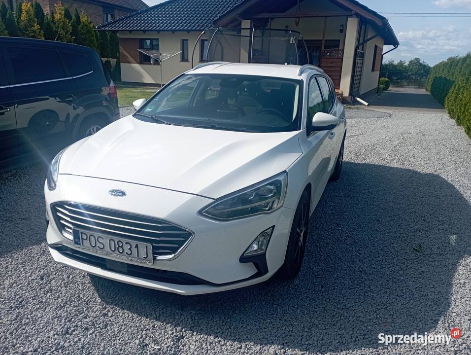 Ford Focus nowy rozrząd i dwumas wielkopolskie Ostrów Wielkopolski