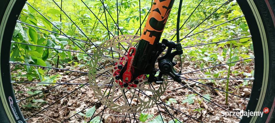 Rower Downhill Delta Sport 505 Połomia