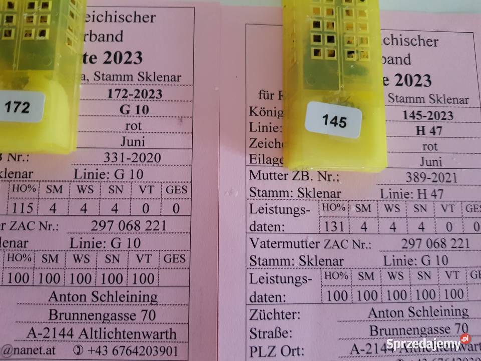 Rodziny i odklady pszczele Sklenar G10 i H47 małopolskie Sucha Beskidzka