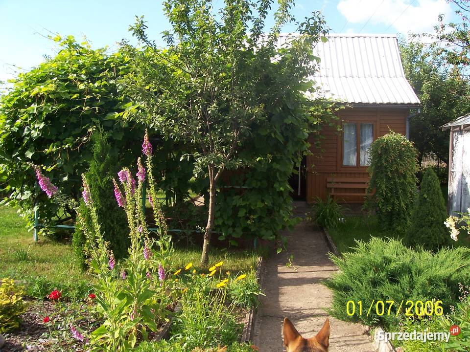 Sprzedam działkę ROD Jaroszówka Białystok