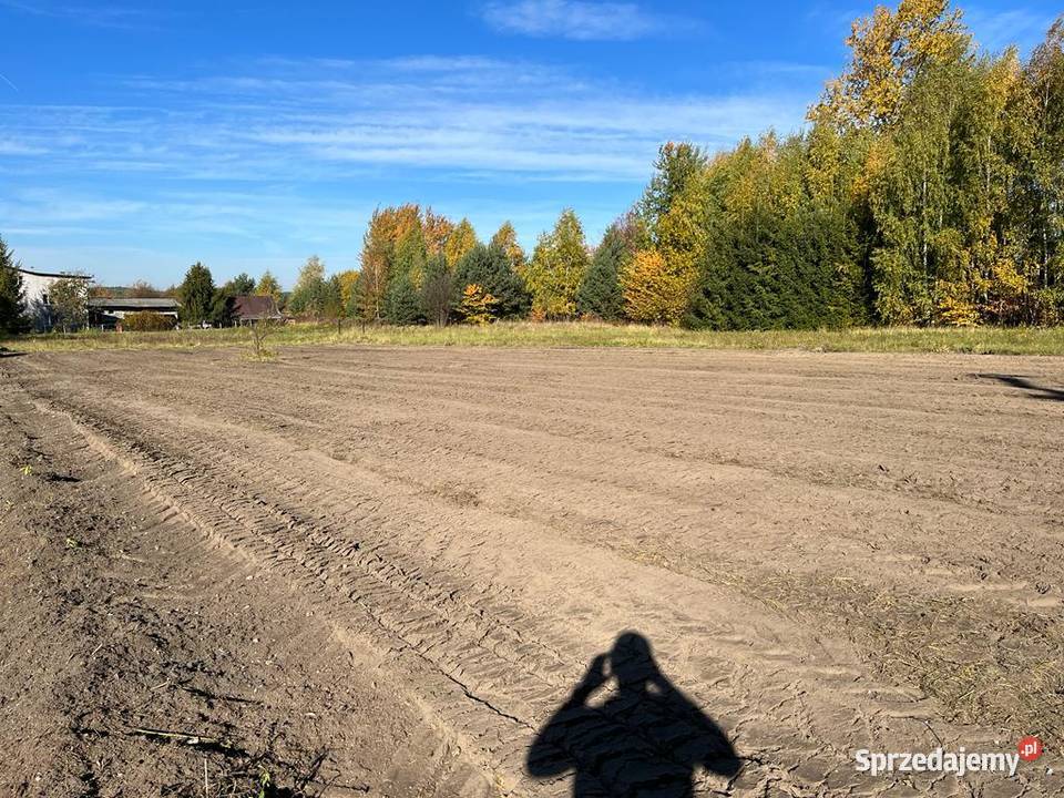 Karczowanie Mulczowanie wgłębne Olkusz