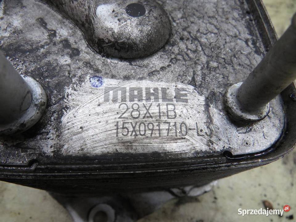 CHŁODNICZKA OLEJU XTRAIL III T32 16 DCI osobowe