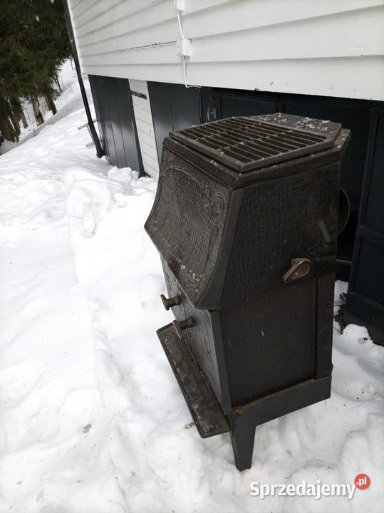 Norweska Koza wielkopolskie Rudzica