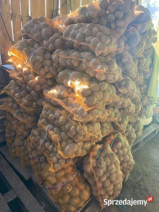 Ziemniaki jadalne Krasnystaw