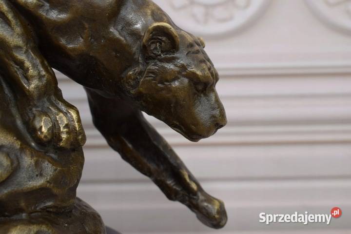 Lampart Na Skale Leopard Tygrys Jaguar Puma małopolskie Kraków