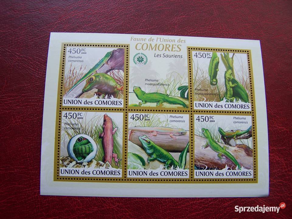 Komory 2009 MNH Fauna Jaszczurki Tychy