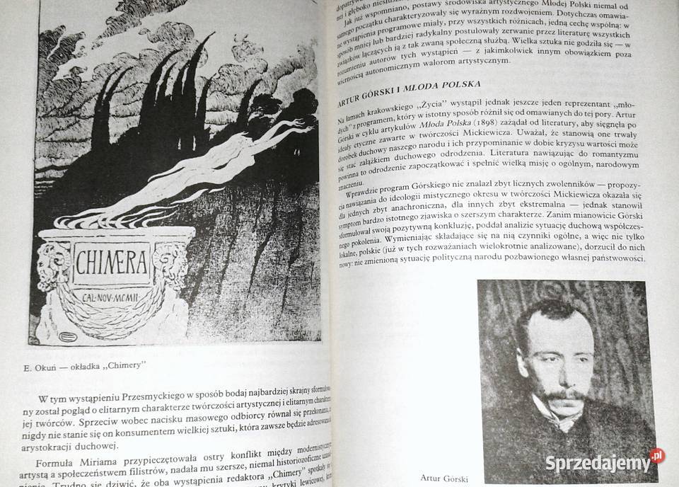 Młoda Polska Literatura Tomasz Weiss sprzedam
