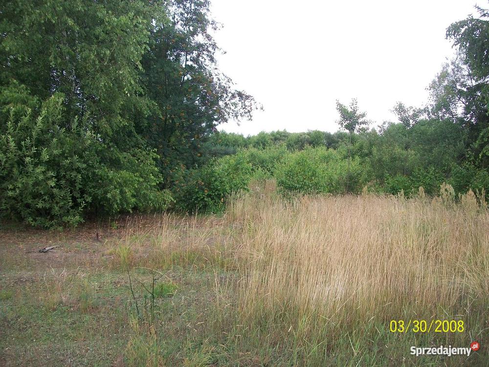 działka rekreacyjna rzeką Wkrą 1800 m2 Grunty i działki Prusocin