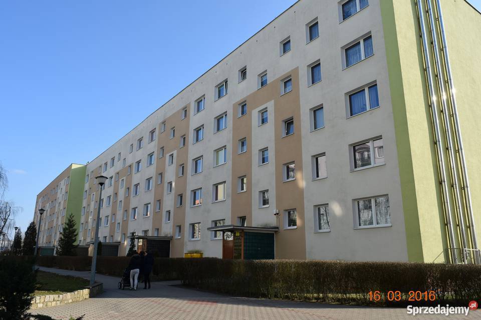 Mieszkanie 3 pokoje bez pośrednika Poznań