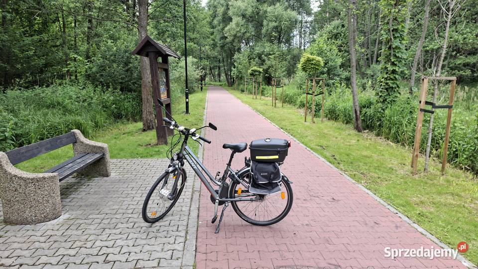 Rower Elektryczny Giant Twist Hybrid Radom