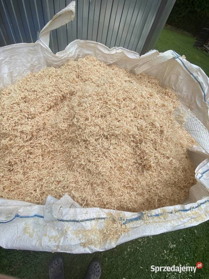Trociny troty wióry suche jodła świerk Bzianka