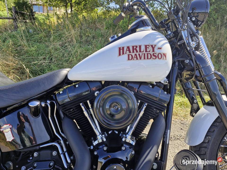 Harley Davidson Softail Cross Bones małopolskie Myślenice