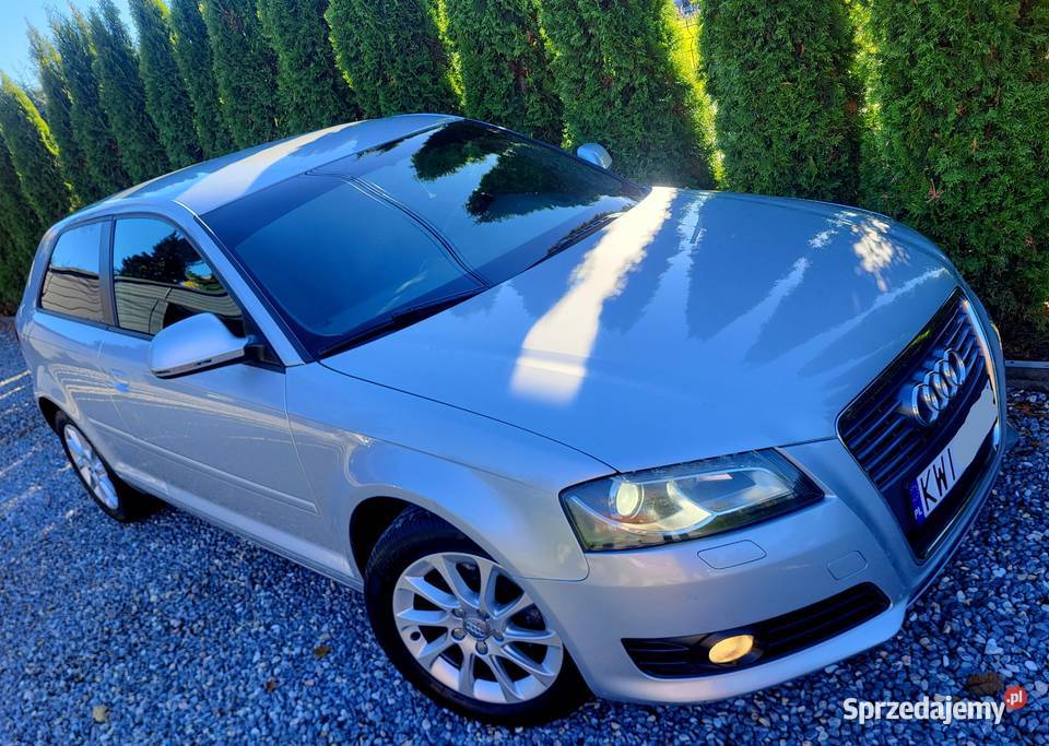 Audi A3 Lift CLIMATRONIC Xenon Alu Podgrzewane małopolskie Kraków