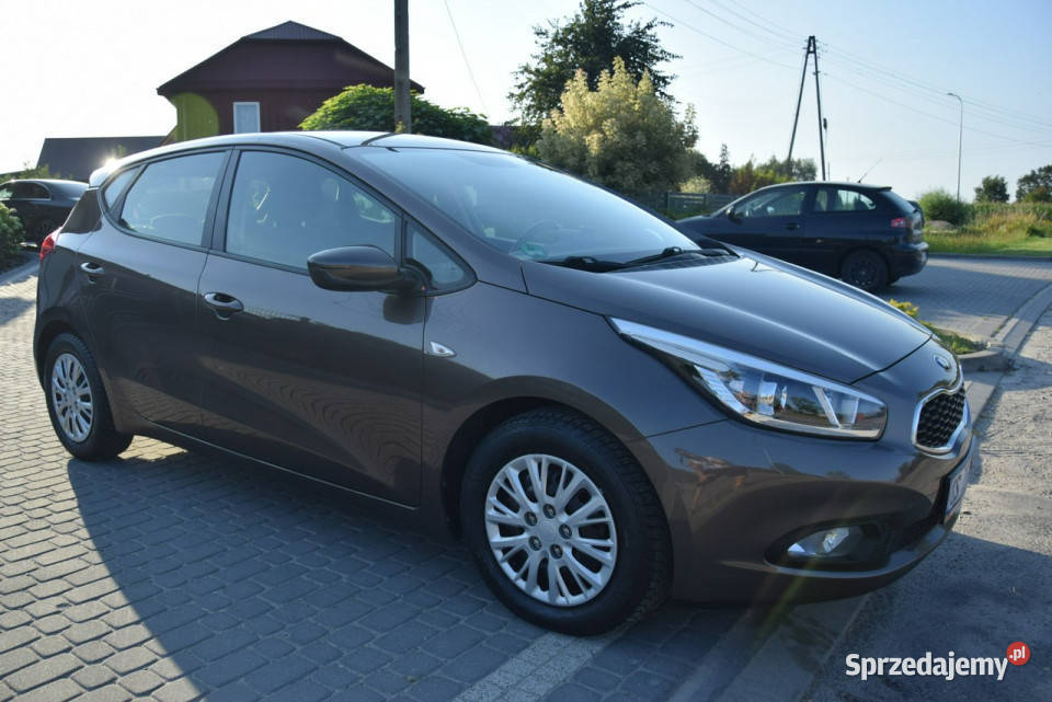 Kia Ceed 14B Klima 115 2013r Sprowadzony 100KM