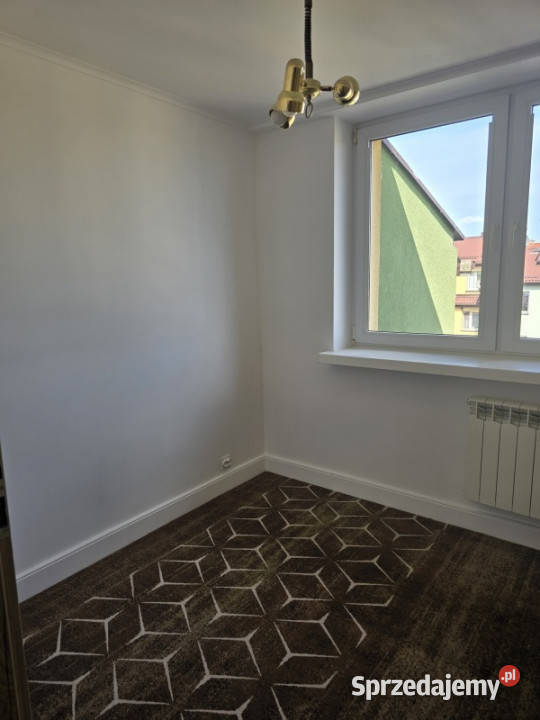 Bezpośrednio Zegrze Zegrze Południowe