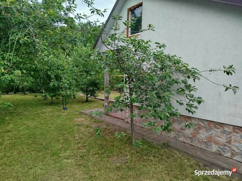 Sprzedam prawo do użytkowania działki ROD z Mielec sprzedam