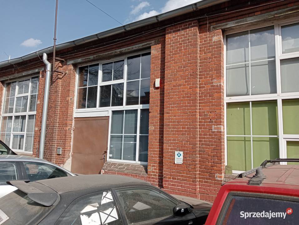 Lokal do wynajęcia Wrocław