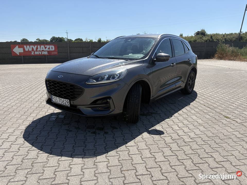 Ford Kuga 25 plug in hybrid wielkopolskie Poniec sprzedam