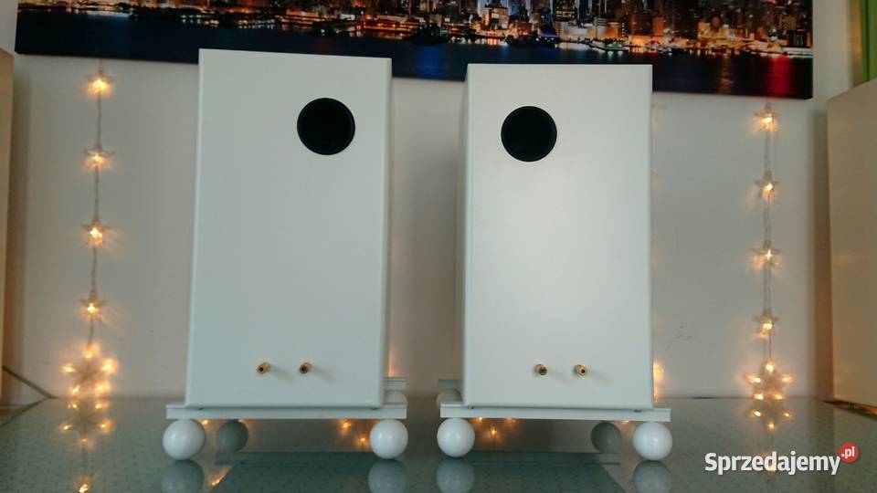 HiEnd Scan Speak Illuminator Revelator Rike Tarnów