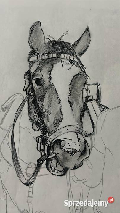 Projekty tatuażu szkice portrety