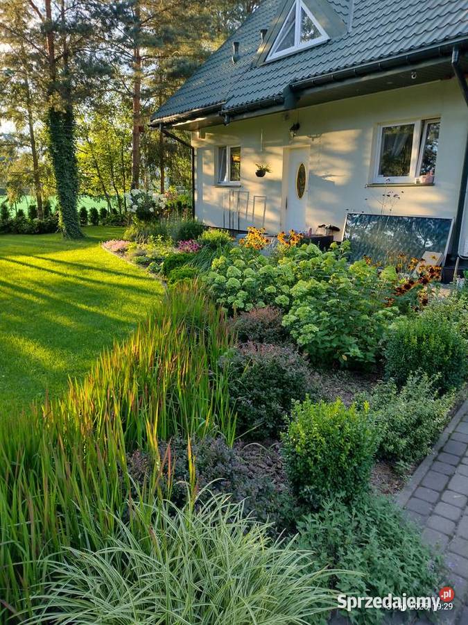 Prace remontowemalowanie Ogrod Komornica sprzedam