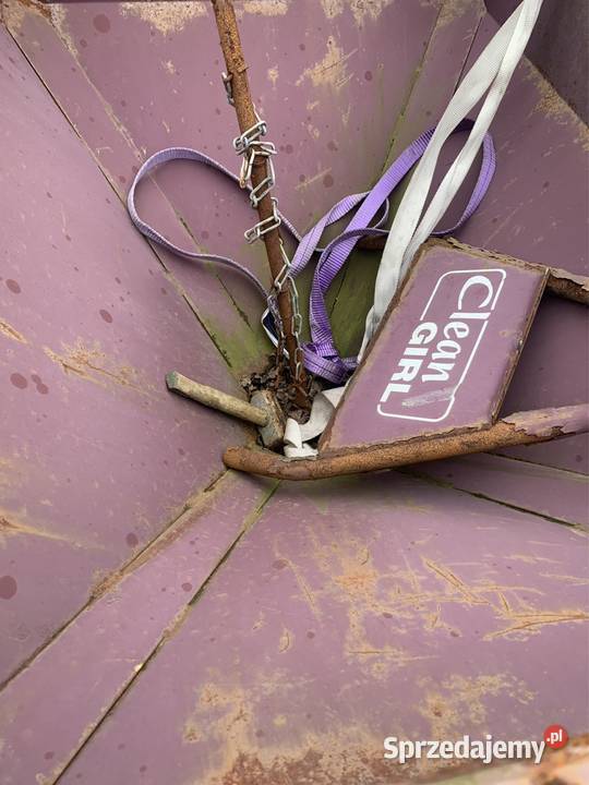 Mini paszowóz spalinowy Clean Girl pomorskie Gdańsk