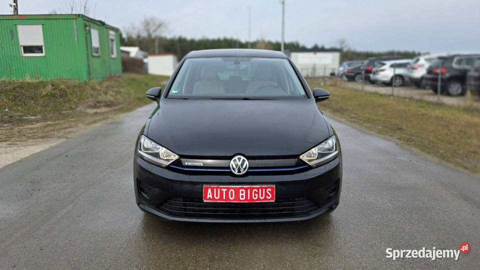 Volkswagen Golf Sportsvan malutki przebieg 28 Lębork