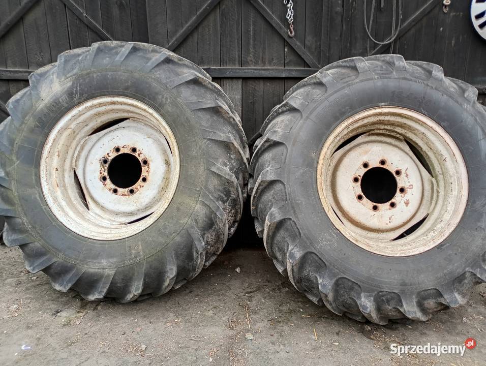 Opony Bizon Siennica Różana