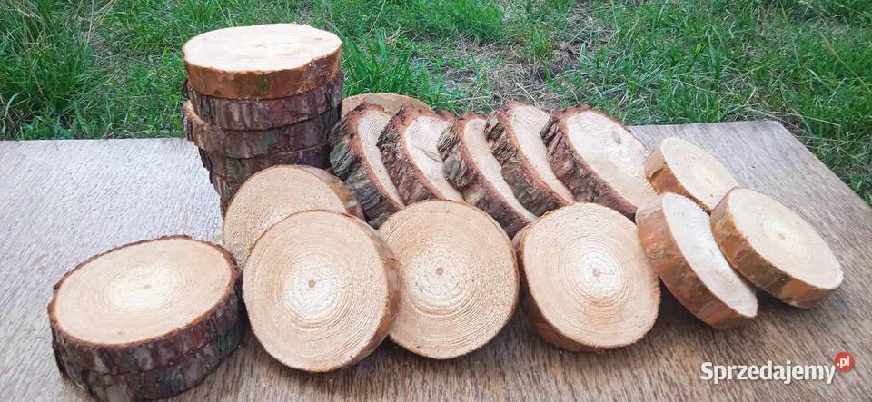 Plastry drewna 60sztuk 1015 krążki drewniane dolnośląskie Wrocław