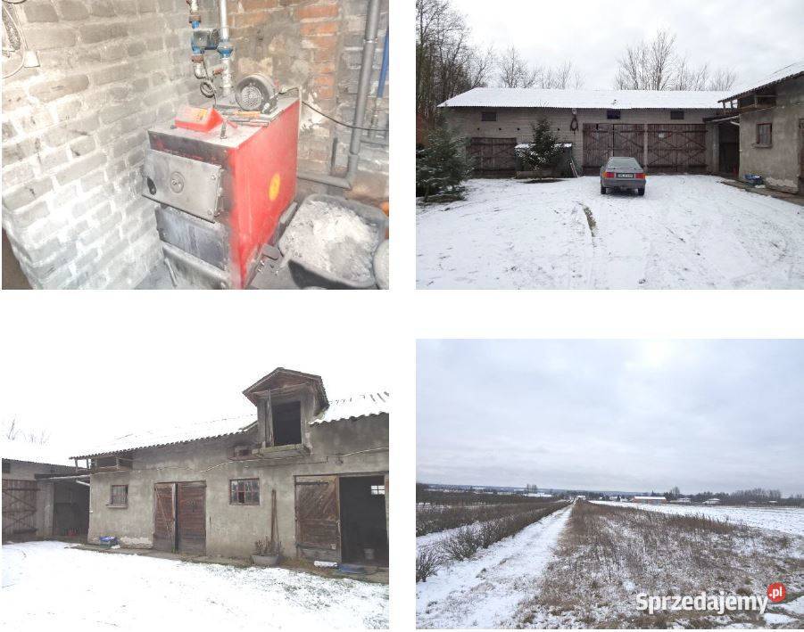 Syndyk sprzeda siedlisko Borowe