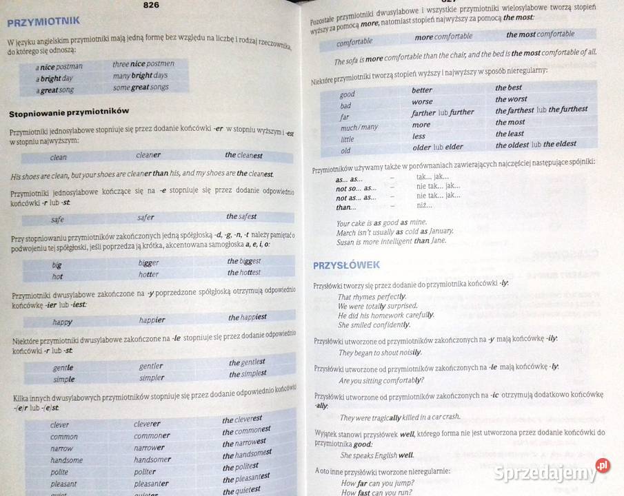 Pons Podręczny słownik angielskopolski