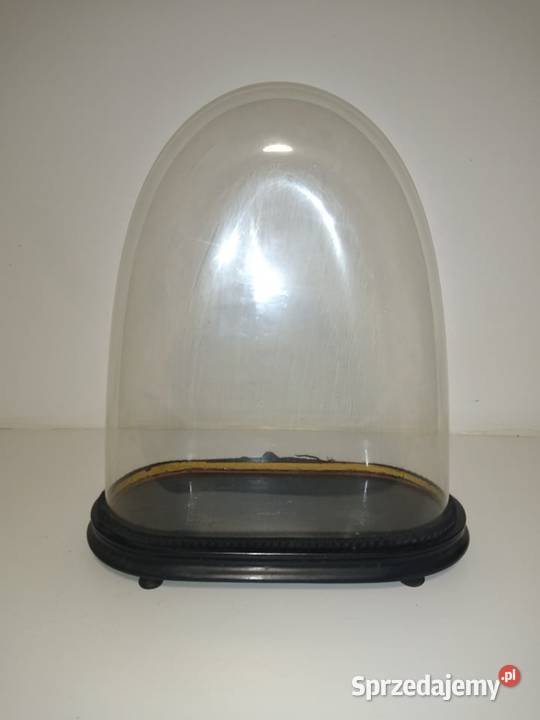 Zegar pod kloszem 194 GWARANCJA 2 LATA Nowa Sól