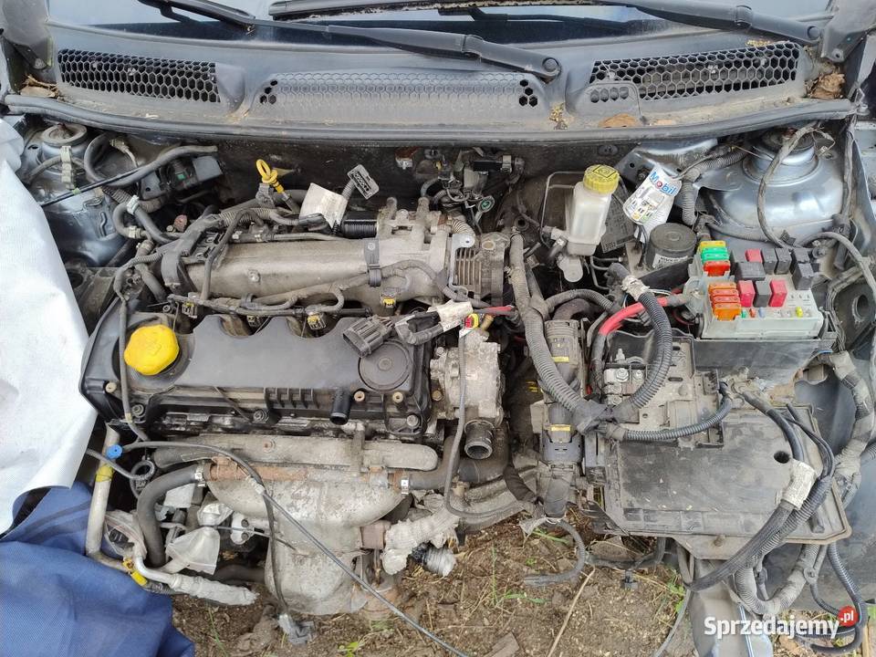 Uszkodzony silnik Fiat Bravo 19 Multijet 120 diesel