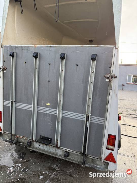 Humbaur przyczepa do koni 2000 VAT marża pomorskie Solnica