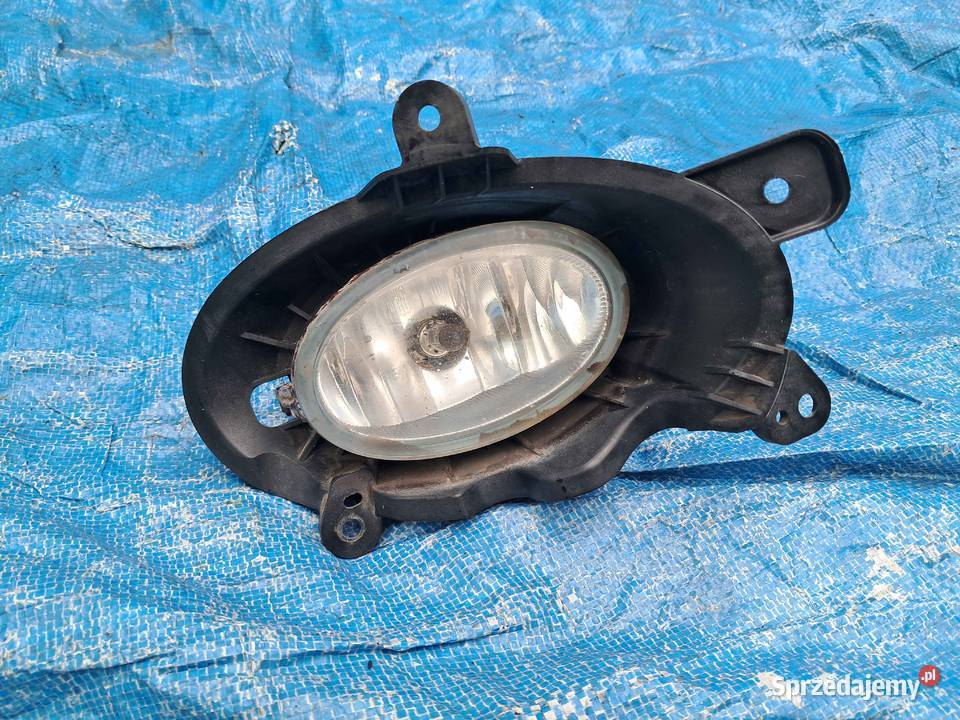 Halogen Prawy Przód Honda Accord VII Olsztyn