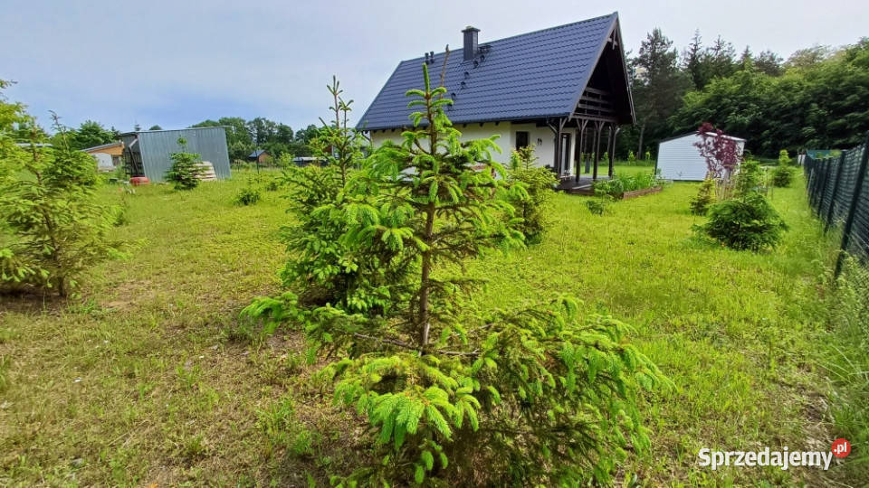 Nowy dom jeziorem lesie Demlin