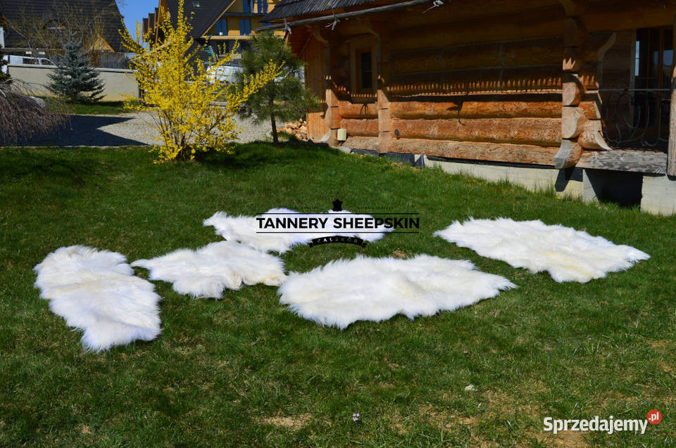 Skóry Owcze Zszywane Dywany Dywaniki Naturalna Szaflary sprzedam