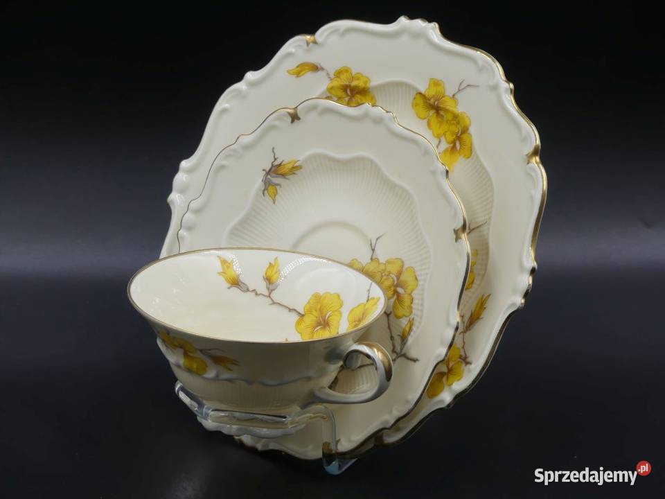 Komplet śniadaniowy Sorau Żary Forsycja stan wielkopolskie Poznań