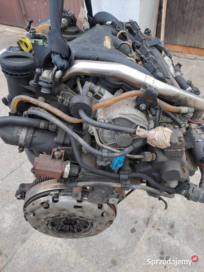 Ford Fokus C Kuga 20 TDCi silnik kompletny G6DA Jastrzębie-Zdrój