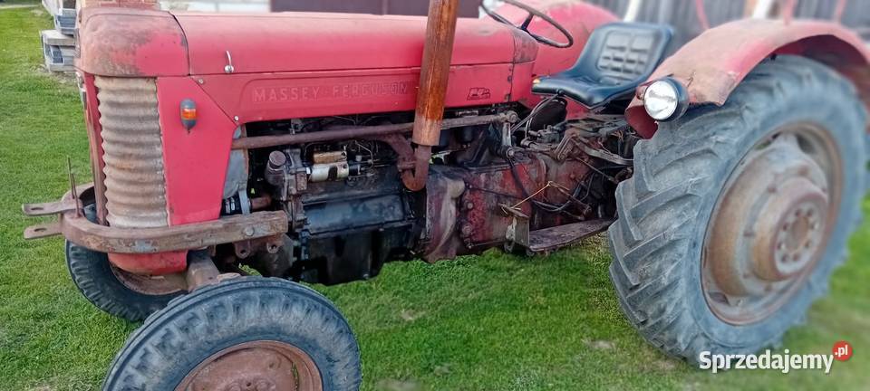 Massei ferguson 65 Zamość