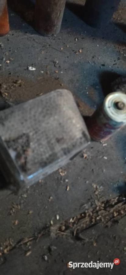 Zabytkowe butelki i porcelana Biała