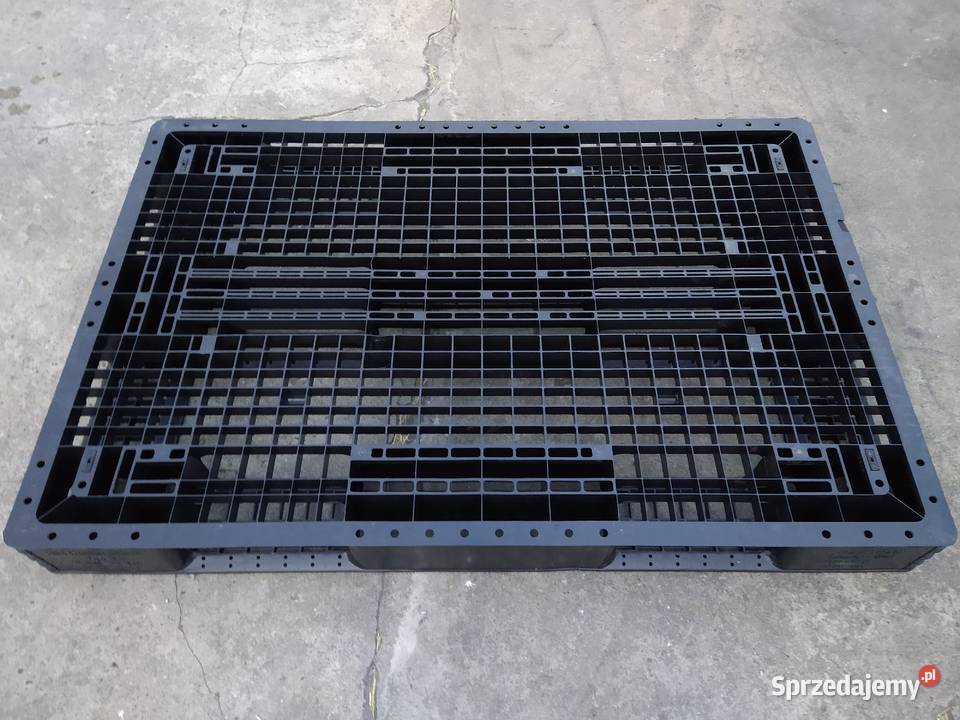 Palety plastikowe wielkopolskie Września sprzedam