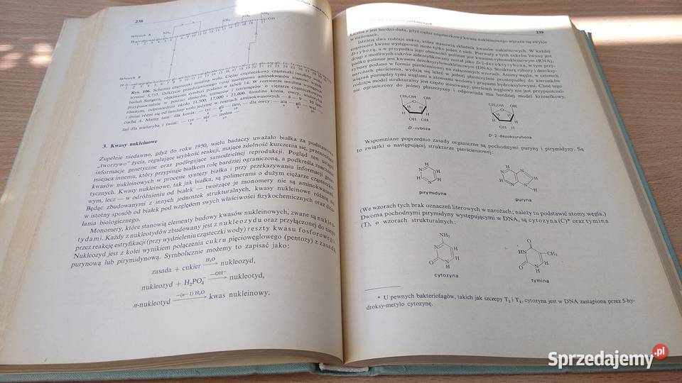 Zarys biofizyki Eugene Ackerman twarda Książki naukowe i popularnonaukowe Gdańsk