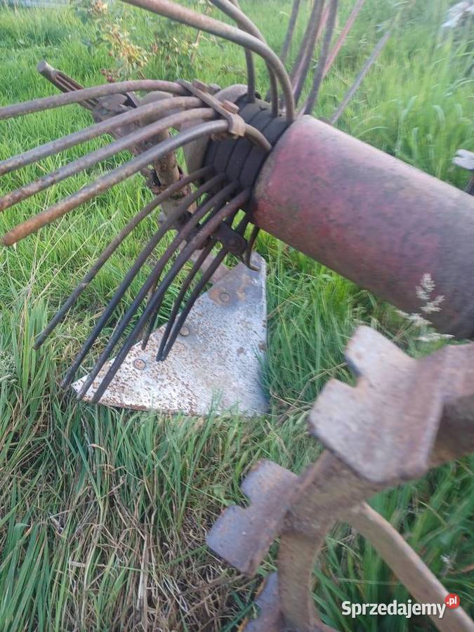 Sadzarka kopaczka do ziemniaków nieuszkodzony Młynary