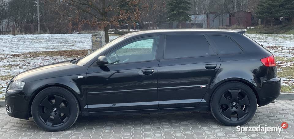 Audi A3 8P Sportback 20 TDI BMM 8v świętokrzyskie