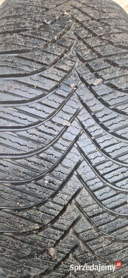 Dwie opony wielosezonowe Poznań