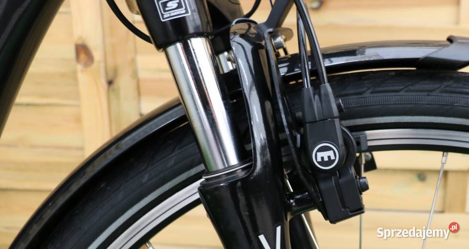 Rower elektryczny EVictoria D 46 I inne rowery mazowieckie