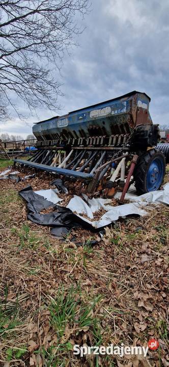 Siewnik opolskie Krogulna