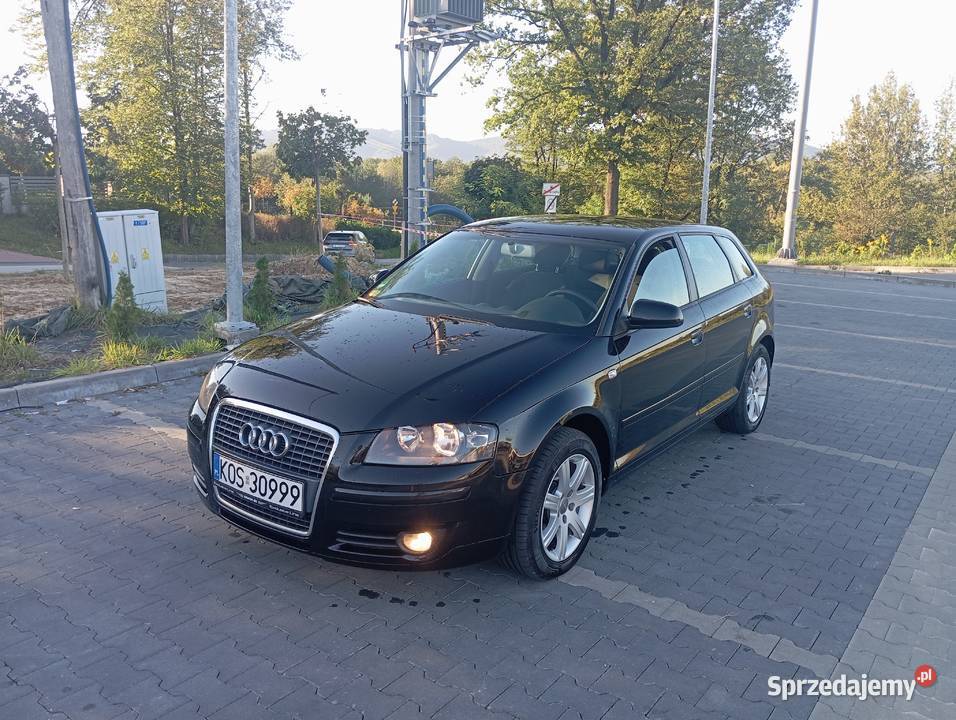Audi A38P 19 TDI105 2005 r 197 5 DrzwiSuper stan ESP małopolskie Bulowice