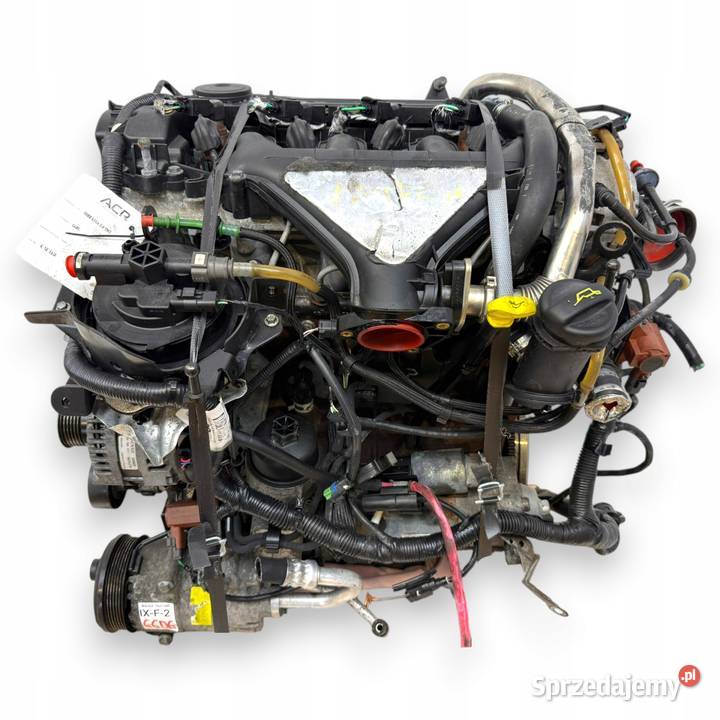 SILNIK G6DG Ford Kuga 20 TDCI 136 diesel Chełm